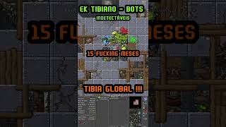 🔴 TIBIA GLOBAL CAVEBOT  Bigodezerah vai ficar sem SD [upl. by Deedahs645]