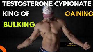 testosterone Cypionate Cycle  beginner steroid cycle  Gaining Cycle  bulking cycle [upl. by Shelagh]