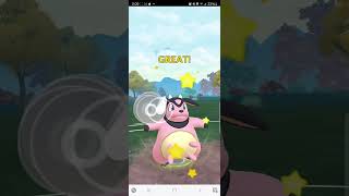 Great League  Road to 21 Rank 20 pokemongo [upl. by Artemus]