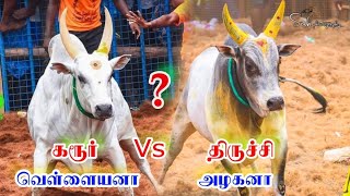 கரூர் வெள்ளை Vs டிபன்கடை அழகன் [upl. by Yunick]