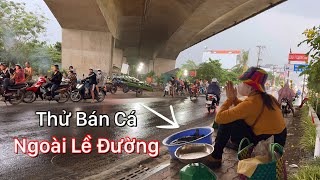 Sau Một Đêm Không Thể Tin Trúng Được Mẽ Cá Hai Cha Con Vác Về Ra Lề Đường Bán [upl. by Crandale115]