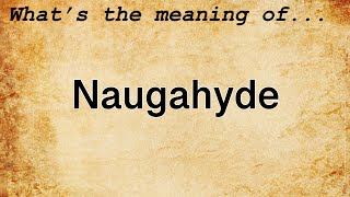 Naugahyde Meaning  Definition of Naugahyde [upl. by Naynek627]