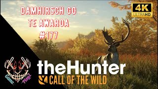 TheHunter CotW Der Weg zum Damhirsch Great One 177 [upl. by Eidurt298]