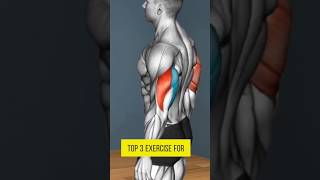 Building Strong Triceps Top 3 Exercises for Tricep Long Head triceps exercise [upl. by Aholah]