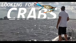 Caloosahatchee Crabbing [upl. by Yehsa567]