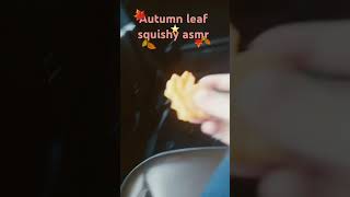 Autumn Leaf ASMR [upl. by Kahl]