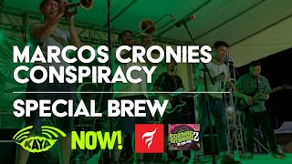 The Marcos Cronies Conspiracy  Special Brew by Bad Manners [upl. by Swayne117]