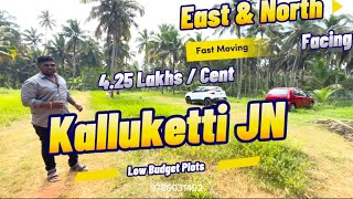 Low Budget Affordable Residential Plot Near Stella Mary’s Engineering CollegeKallukettiReal Estate [upl. by Bert63]