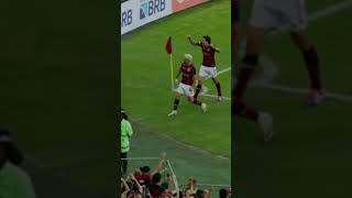 GOLS do Flamengo x Atletico GO [upl. by Kauslick]