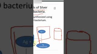 Green Synthesis nanoparticles nanoscience nanomaterials nanotechnology chemicalsynthesis [upl. by Bonnee912]