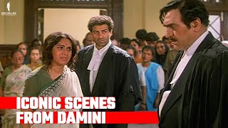 Damini  Iconic Scenes  Sunny Deol Meenakshi Sheshadri Amrish Puri [upl. by Royce118]