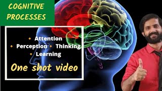 Psychology Class 12 Chapter 4  Cognitive Processes Attention Perception Memory Learning Thinking [upl. by Koh]