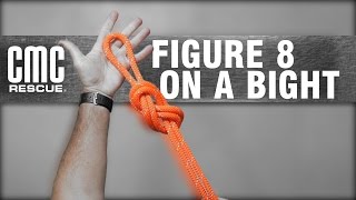 Learn how to Tie a Figure 8 on a Bight  CMC [upl. by Adonis]