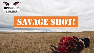 Savage Shot  a Driple [upl. by Aniretac]