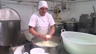 produzione mozzarella casaro giuseppe pellicoro [upl. by Etnoved]