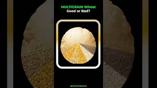 Multigrain Wheat Is It Safe for Everyone Vaidya Rajesh Kapoor Explains shorts ayurvedasecrets [upl. by Lilian]