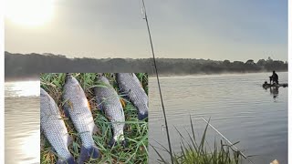 Atacaram nossas iscas gigantes do Rio Paraopeba em Pompéu  MG [upl. by Janicki]