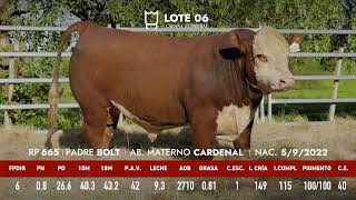 Lote 6 Toro mocho PI RP 665 [upl. by Nagram]