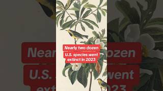 Nearly two dozen US species went extinct in 2023 shorts [upl. by Okuy]