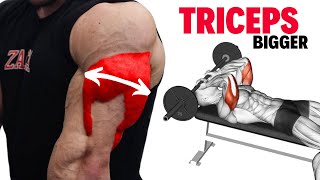 Best Triceps Workout To Build Bigger Triceps [upl. by Juetta]