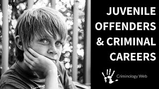 Juvenile Delinquency Two Types of Criminal Careers [upl. by Occer]