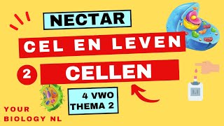 4 vwo  Cel en leven  2  Cellen [upl. by Norina]