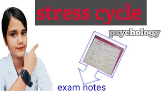 stress definition stress cycle  psychology [upl. by Thury282]