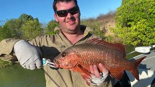 Northern Territory limmen bight river Barra fishing may 2023 [upl. by High]