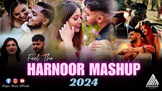 Feel The Harnoor Mashup 2024  Jhumke X Waalian X Parshwan X Chan Vekhya  Miyan Music Official [upl. by Lipson]