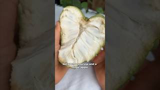 Cherimoya 💚 fruit [upl. by Eniaj]