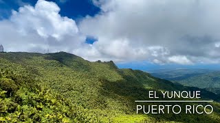 Hiking Los Picachos and Mount Britton in El Yunque National Forest Puerto Rico [upl. by Gerdeen369]