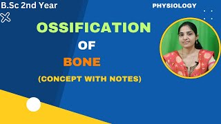 Ossification of bone BSc 2nd YearDevelopment of boneIntramembranousendochondral ossifications [upl. by Olav]