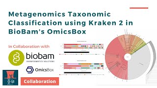 Metagenomics Taxonomic Classification using Kraken 2 in BioBams OmicsBox [upl. by Bluh]