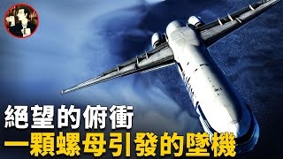 飛機倒着飛行扎入大海，88人無人生還，空難原因令人極其憤怒，一起本不該發生的空難阿拉斯加航空261空難Alaska Airlines Flight 261 [upl. by Goggin510]