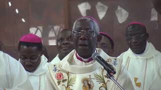 80th Birthday thanksgiving mass of Archbishop Alaba Job [upl. by Tattan]