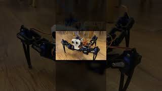 🕷️ Arduino Robot Spider Walks Autonomously  DIY Robotics Project shorts [upl. by Chapel223]