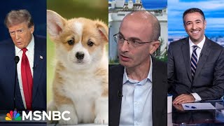 Debunking Trump’s peteating lunacy A trick to hype immigration Harari x Melber [upl. by Aelanna]