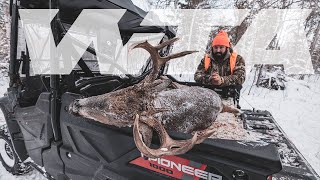 Saskatchewan Whitetail Hunt  Worldwide Trophy Adventures [upl. by Adok419]