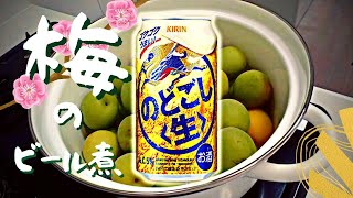 【梅のビール煮】材料3つ。30分煮るだけで本当に美味しいコクのあるさわやか梅のペースト [upl. by Aihsenad595]