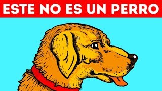 11 Ilusiones ópticas que engañarán a tus ojos [upl. by Janine549]