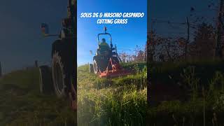 Solis 26 amp Maschio Gaspardo cutting grass solis tractors cuttinggrass lawncare minitractor [upl. by Aufmann]