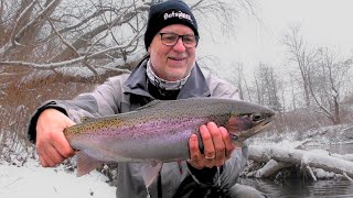 SNOWY Winter Day STEELHEAD FISHING [upl. by Odlaner]