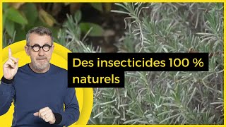 Des insecticides 100  naturels  C Jamy [upl. by Raama]