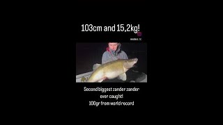 15kg Zander [upl. by Areid]