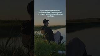 жиза carp 2023 fishing carps рыбалка carpfishinglife carpfishing карп shortvideo [upl. by Fabrienne196]