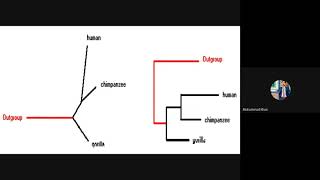 Phylogenetic Tree Types and Applications [upl. by Scrope768]