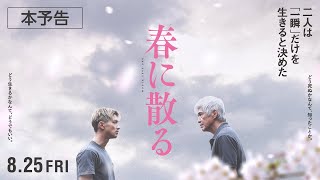 映画『春に散る』本予告 825公開 [upl. by Adian]