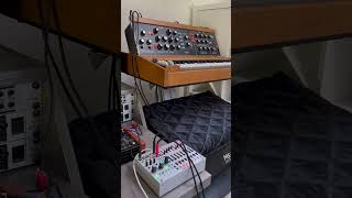 Intellijel Metropolix Solo with Moog Model D [upl. by Cly]