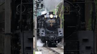 【4K縦動画】C58363 門鉄デフ！秩父鉄道・SLパレオ 樋口駅先通過！ ChichibuRailway Steam locomotive Class C58 quotPALEO EXPRESSquot [upl. by Aryamo]