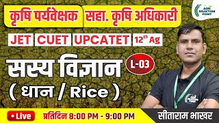 3  फसलोत्पादन  धान की फसल  Agri Supervisor  12th Ag  JET  CUET ASP Coaching Jaipur [upl. by Trepur]